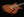 Knaggs Severn Trem GF3