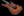 Tom Anderson Drop Top
