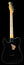 Fender Custom Shop David Brown Master Built 63 Telecaster Relic