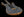 Suhr Modern Custom, Burl Top, Trans Blue Denim