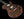 Knaggs SSC Steve Stevens - One-Piece Walnut Burl Top