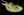Fano GF6 Alt de Facto Set Neck - Gretsch 2-Tone Green