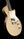 Fano SP6 Oltre - Gold Top
