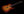 Tom Anderson Cobra Hollow - Cherry Burst