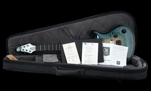 Mayones Regius Core 6