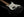 Xotic California Classic XSCPRO-2 Black