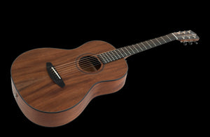 Breedlove Roots Parlor RTP-MMe