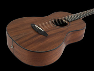 Breedlove Roots Parlor RTP-MMe