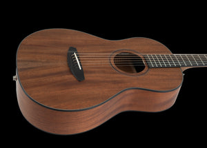 Breedlove Roots Parlor RTP-MMe