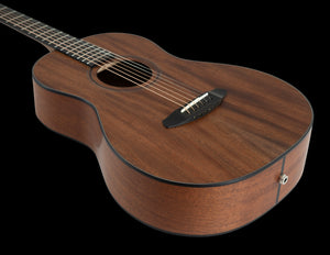 Breedlove Roots Parlor RTP-MMe