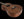 Breedlove Roots Parlor RTP-MMe