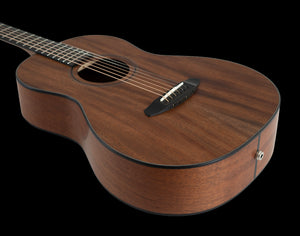 Breedlove Roots Parlor RTP-MMe