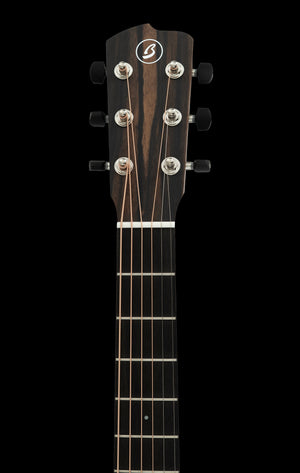 Breedlove Roots Parlor RTP-MMe