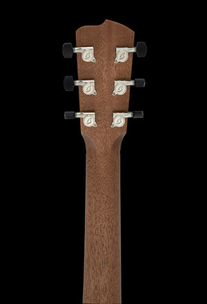 Breedlove Roots Parlor RTP-MMe