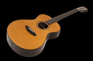 Breedlove Roots Concert RTC-SRe