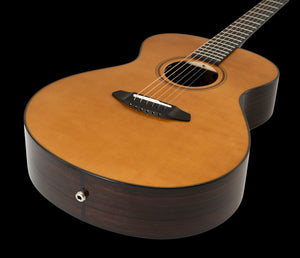 Breedlove Roots Concert RTC-SRe