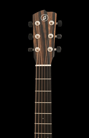 Breedlove Roots Concert RTC-SRe