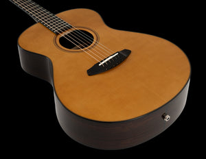 Breedlove Roots Concert RTC-SRe