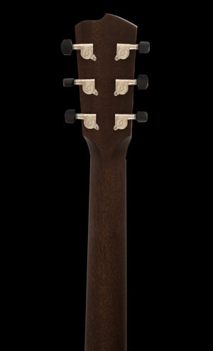 Breedlove Roots Concert RTC-SRe