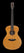 Breedlove Roots Concert RTC-SRe