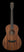Breedlove Roots Parlor RTP-MMe