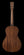 Breedlove Roots Parlor RTP-MMe