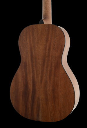 Breedlove Roots Parlor RTP-MMe