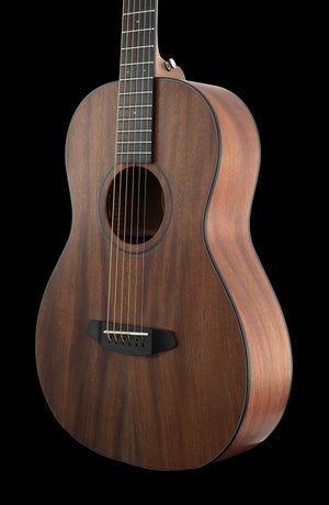 Breedlove Roots Parlor RTP-MMe