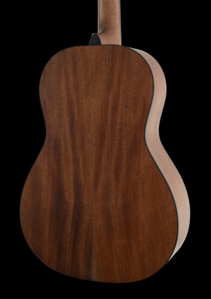 Breedlove Roots Parlor RTP-MMe