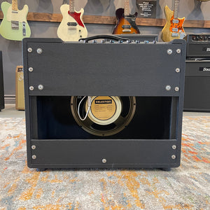 Friedman Runt 50 Combo