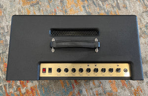 Friedman Runt 50 Combo