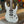 Suhr Custom Modern - Silver Sparkle
