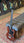 Gibson SG Junior