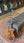 Gibson Les Paul Standard  Koa Top Limited Edition