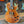 Gibson Les Paul Standard  Koa Top Limited Edition