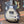 Gibson Adam Jones Les Paul Standard