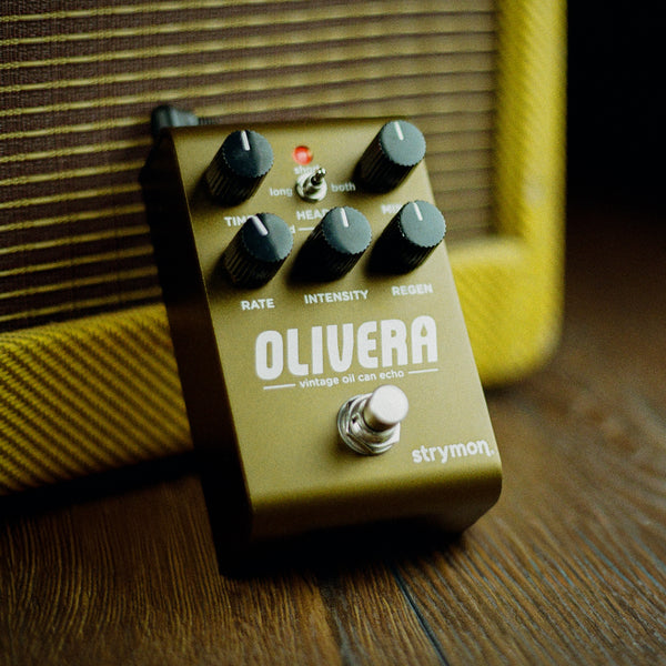 Strymon Oliviera Vintage Oil Can Echo