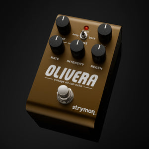 Strymon Olivera Vintage Oil Can Echo