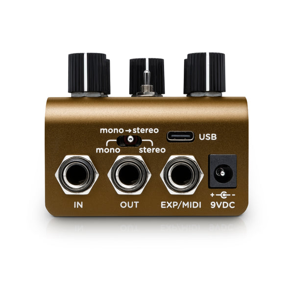Strymon Oliviera Vintage Oil Can Echo