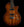 Taylor Solidbody Custom Koa Top