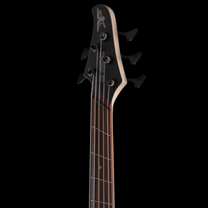 Dingwall D-Roc Standard