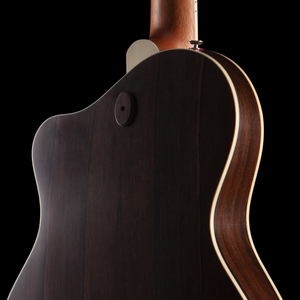 Island Instruments DelAir