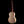 R Robinson Flamenco