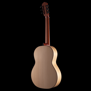 R Robinson Flamenco