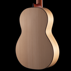 R Robinson Flamenco