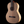 R Robinson Flamenco