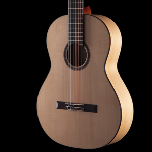 R Robinson Flamenco
