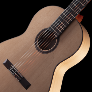 R Robinson Flamenco