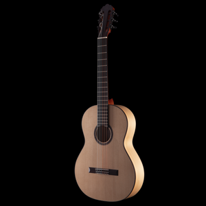 R Robinson Flamenco