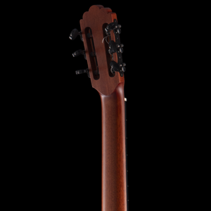 R Robinson Flamenco